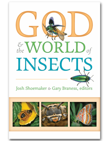 GodInsects-Front.png